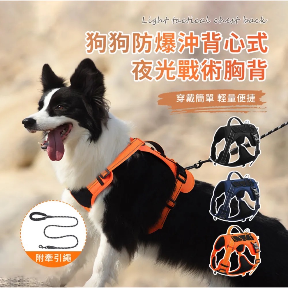 遛狗必備 寵物牽繩 胸背帶-細節圖2