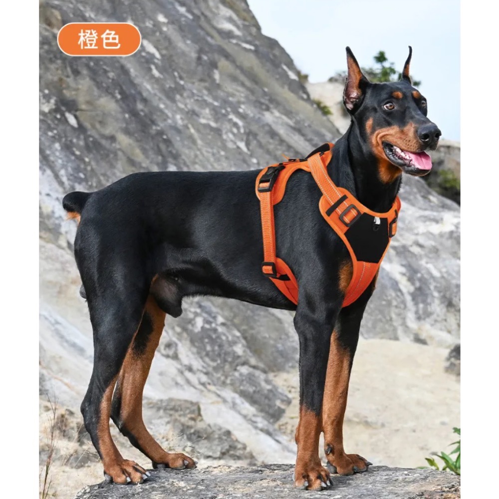 遛狗必備 寵物牽繩 胸背帶-規格圖4