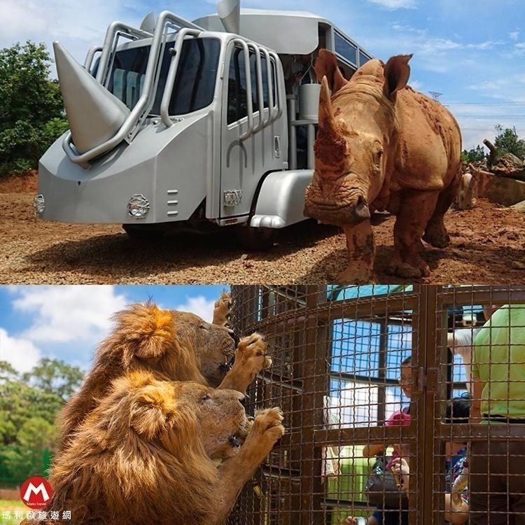 【瑪利歐旅遊網】新竹關西六福莊『依訂購房型人數住宿+含早餐+晚餐+六福村2日門票+非洲探險島』$9500元起-細節圖9