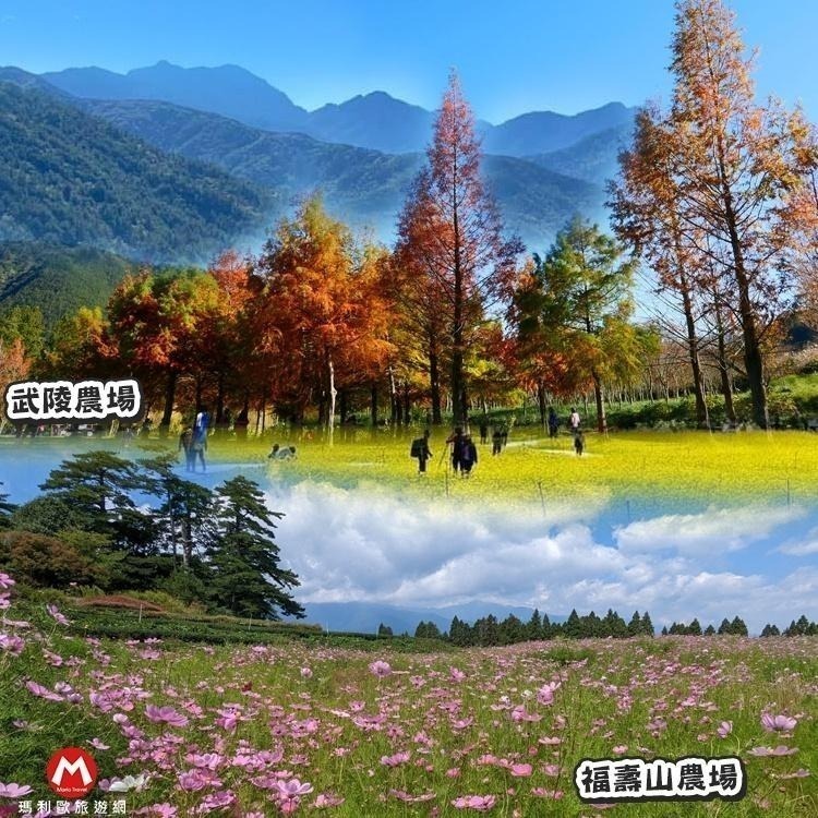 【瑪利歐旅遊網】臺灣最高的宮殿旅館(+200升等大坪數豪華房)台中四季皆美 梨山賓館-標準雙人房住宿券+自助式早餐-細節圖9