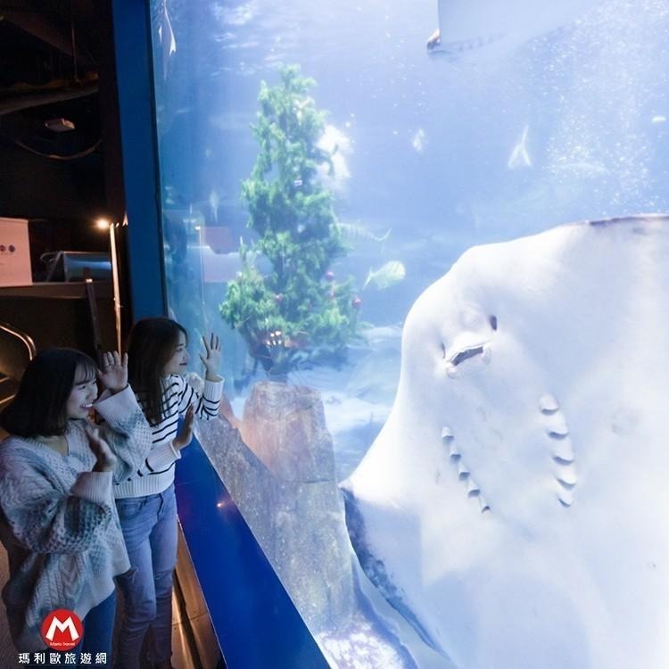 【瑪利歐旅遊網】花蓮遠雄悅來(遠來)海洋公園全票門票【平假日可用】-細節圖8