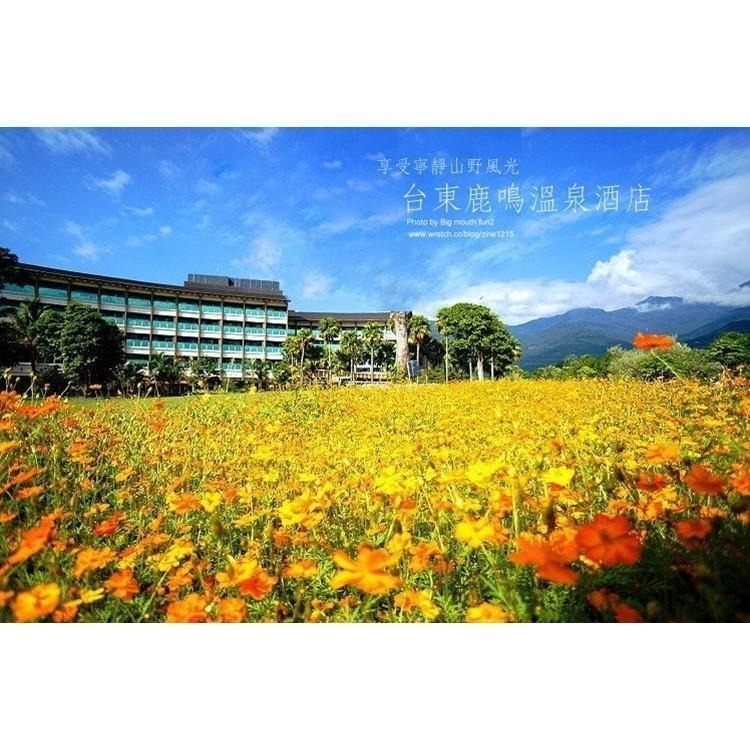 【瑪利歐旅遊網】無邊際溫泉泳池！(8-12月平日入住升等鹿豐四人房)台東．鹿鳴溫泉酒店『雙人住宿乙晚+設施』房內獨享泡湯-細節圖9