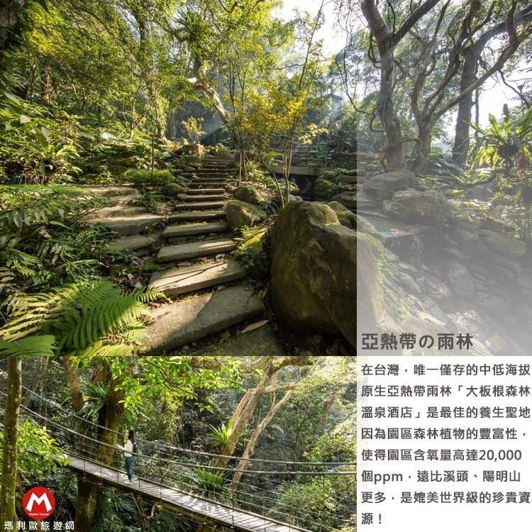 (瑪利歐旅遊網)三峽．大板根溫泉度假村『板根區雙人住宿+自助早餐+免費入園+SPA』渡假不用跑遠-細節圖4