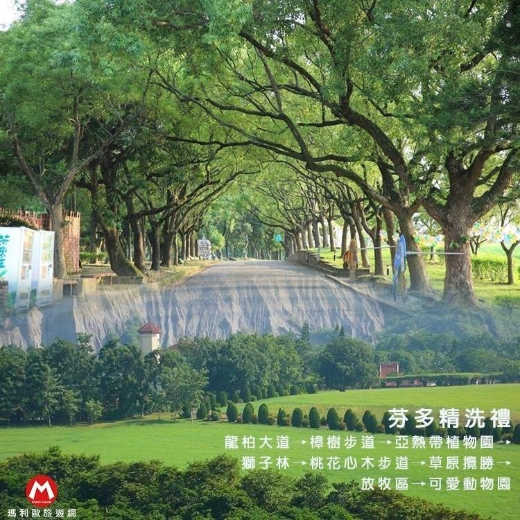 寒假不加價(瑪利歐旅遊網)台南~走馬瀨農場蘭花會館雙人房/4人房住宿+早餐+門票+遊戲券-細節圖5