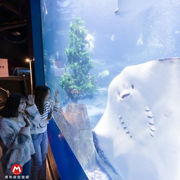 快速出貨(瑪利歐2)花蓮~遠雄悅來(遠來)海洋公園【成人票~平假日一票到底門票】-細節圖9