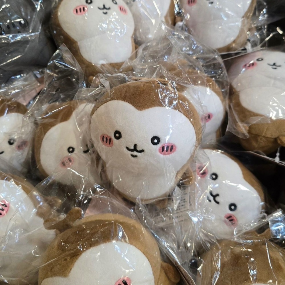 🇯🇵 正版現貨【小甲蟲S娃】吉伊卡哇 chiikawa-細節圖2