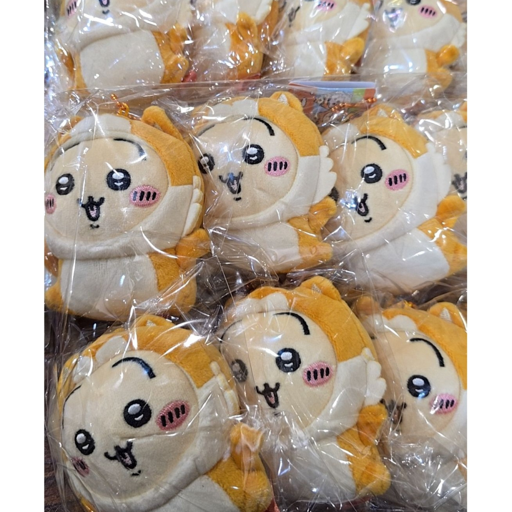 🫧預購 🇯🇵 地區限定款！秋田汪汪兔 吉伊卡哇 chiikawa-細節圖3