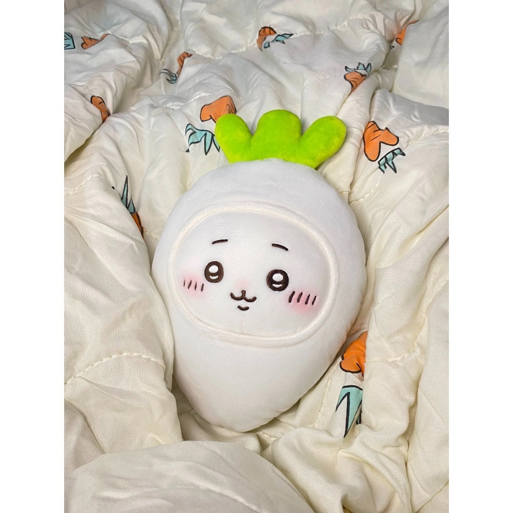 白蘿蔔(私訊預購)