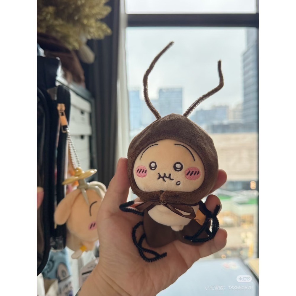 motto出清中!!【日版正版吉伊卡哇/娃衣】#現貨#特賣#只會有一次-規格圖7