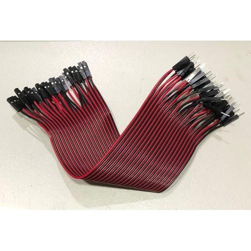 ►66 1863-1864◄紅黑杜邦線 10條1單位 2.54mm 母母/公母/公公 20CM 保證12股銅絲含膠殼-細節圖2