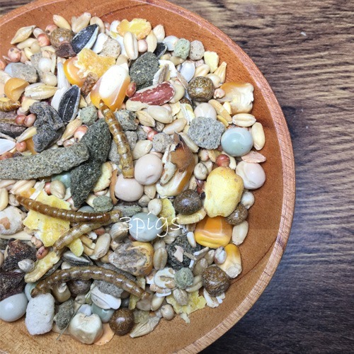 【三隻小豬寵物用品】鼠寶貝專用蔬果高蛋白特調(含麵包蟲)500g-細節圖2