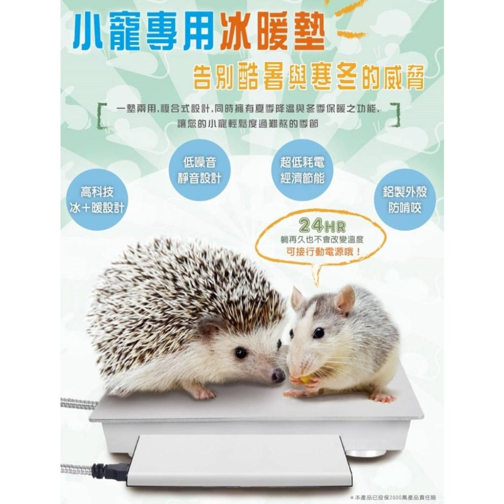 【三隻小豬寵物用品】小型寵物專用冰涼墊(大)/冰暖墊(小) (鼠/兔/龍貓/天竺鼠可)保冷 保暖-細節圖3