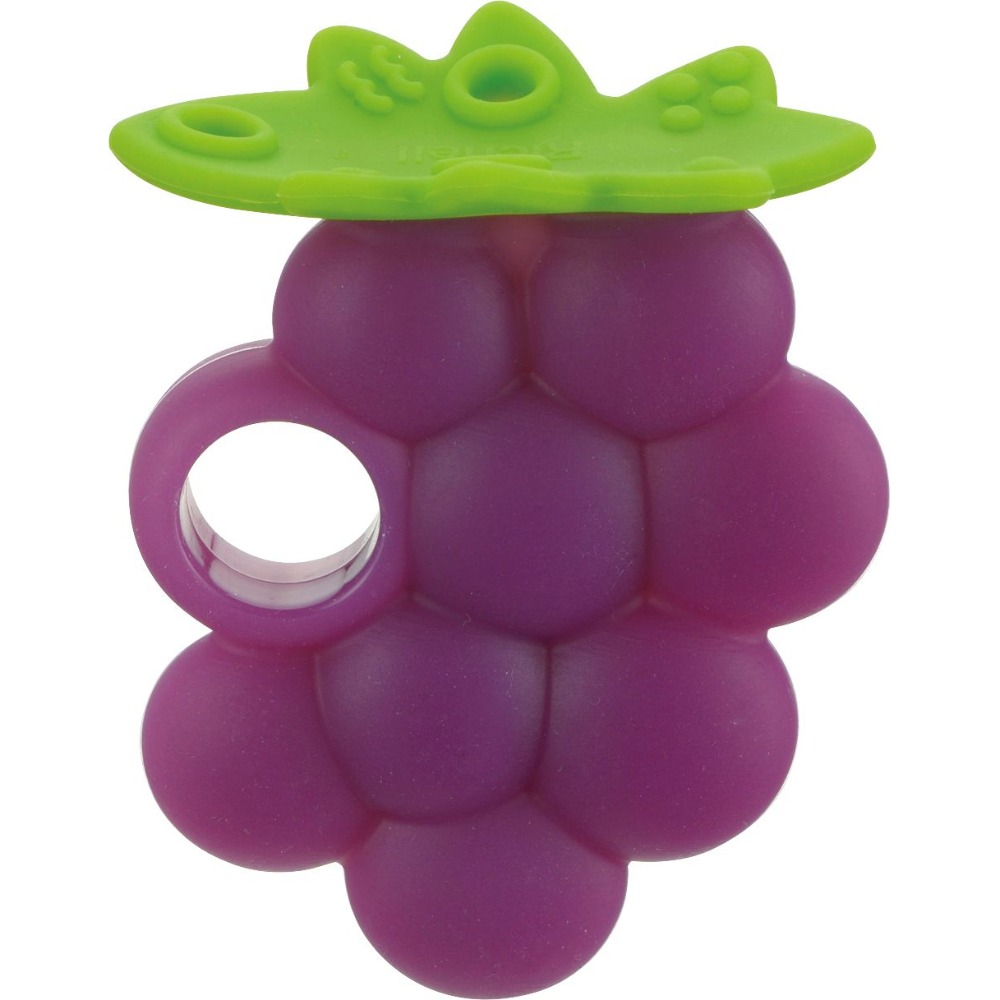 【利其爾Richell】蔬果咬咬固齒器附收納盒（多款可選） 安撫玩具 寶寶固齒器-細節圖4