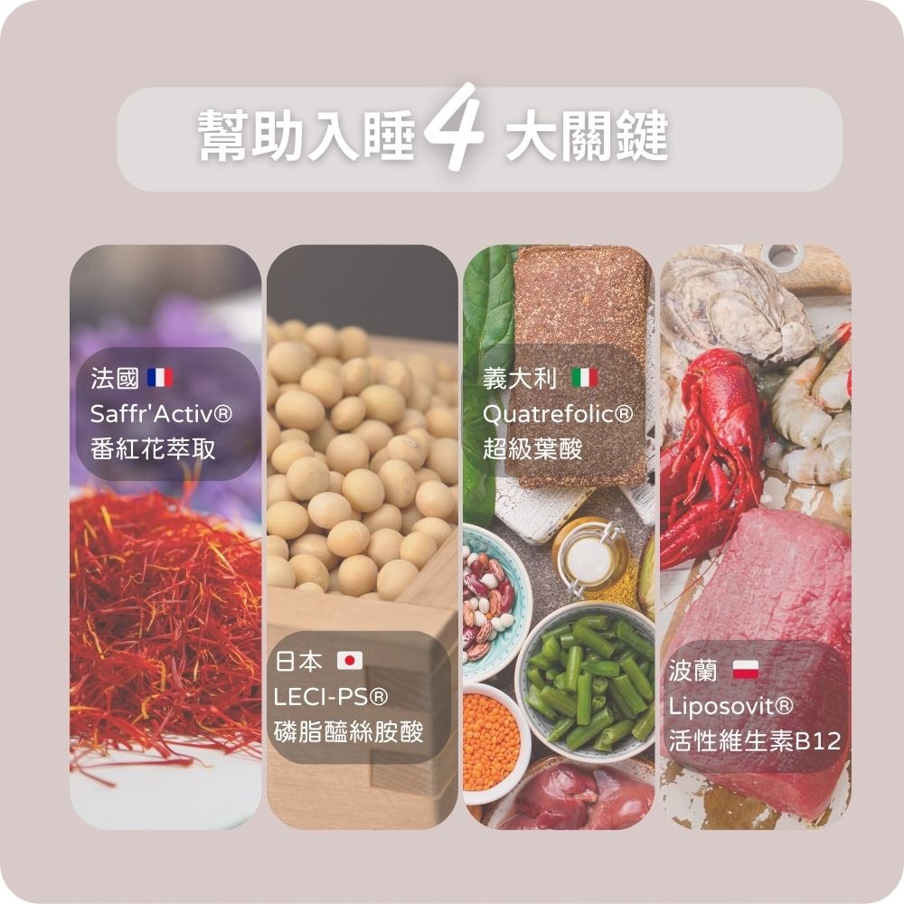 【日珂】睡眠Cupid‧幫助睡眠｜藏紅花‧磷脂醯絲胺酸‧色胺酸‧日本專利‧機能保健食品-細節圖5