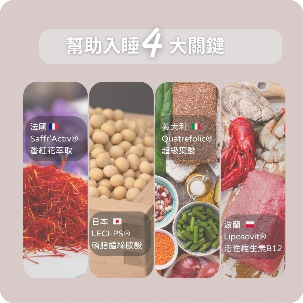 【日珂】睡眠Cupid‧幫助睡眠‧2入組｜藏紅花‧磷脂醯絲胺酸‧色胺酸‧日本專利‧機能保健食品-細節圖5