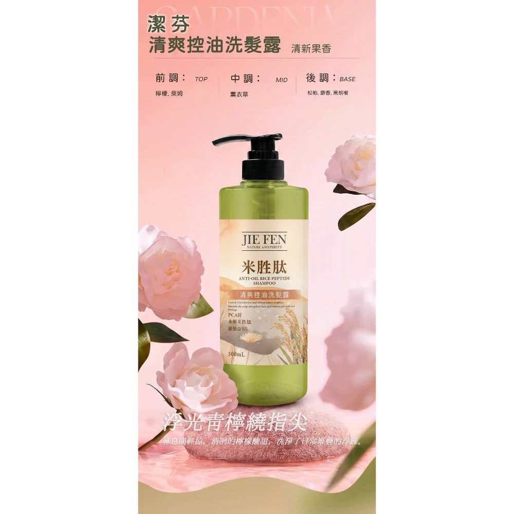 潔芬清爽控油洗髮精(萊姆果香)