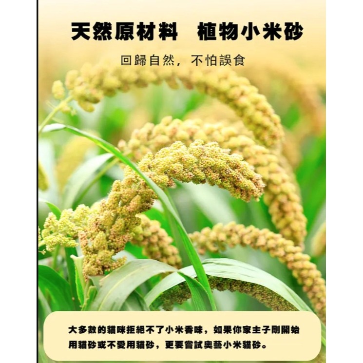 現貨速出🚚【AOYI奧藝】 全能 小米貓砂 (黃金甲系列) 貓砂 貓咪 寵物 貓砂盆 無塵 除臭 可沖馬桶 豆腐貓砂-細節圖3