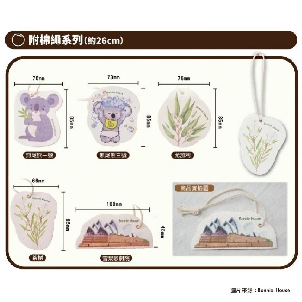 【Bonnie House 植享家】多功能天然木漿海綿洗潔布_洗澡去角質、洗碗、擦桌等-細節圖2