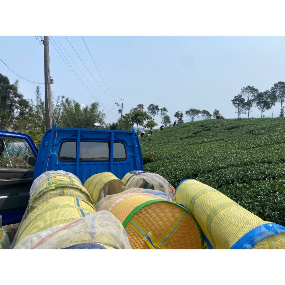 阿里山高山清新小葉烏龍茶-細節圖6