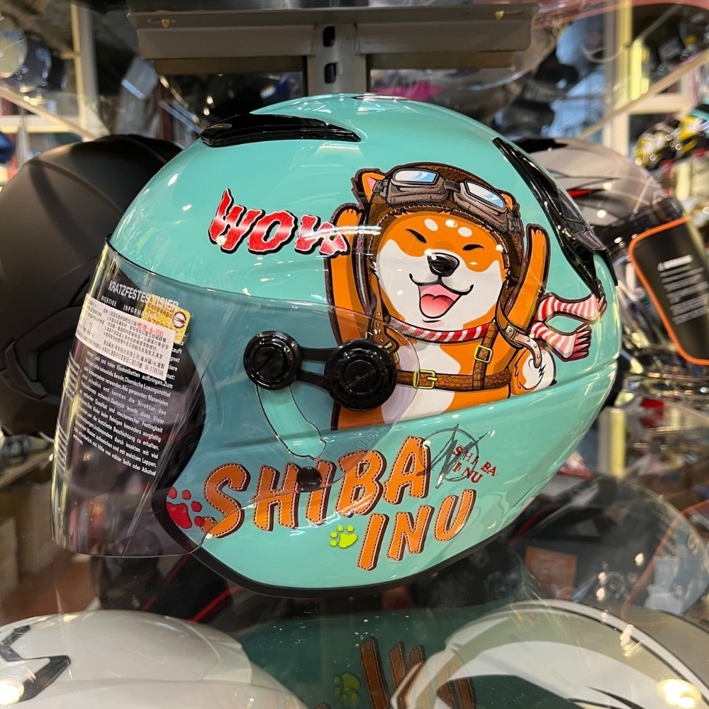 #5 柴犬 土耳其藍