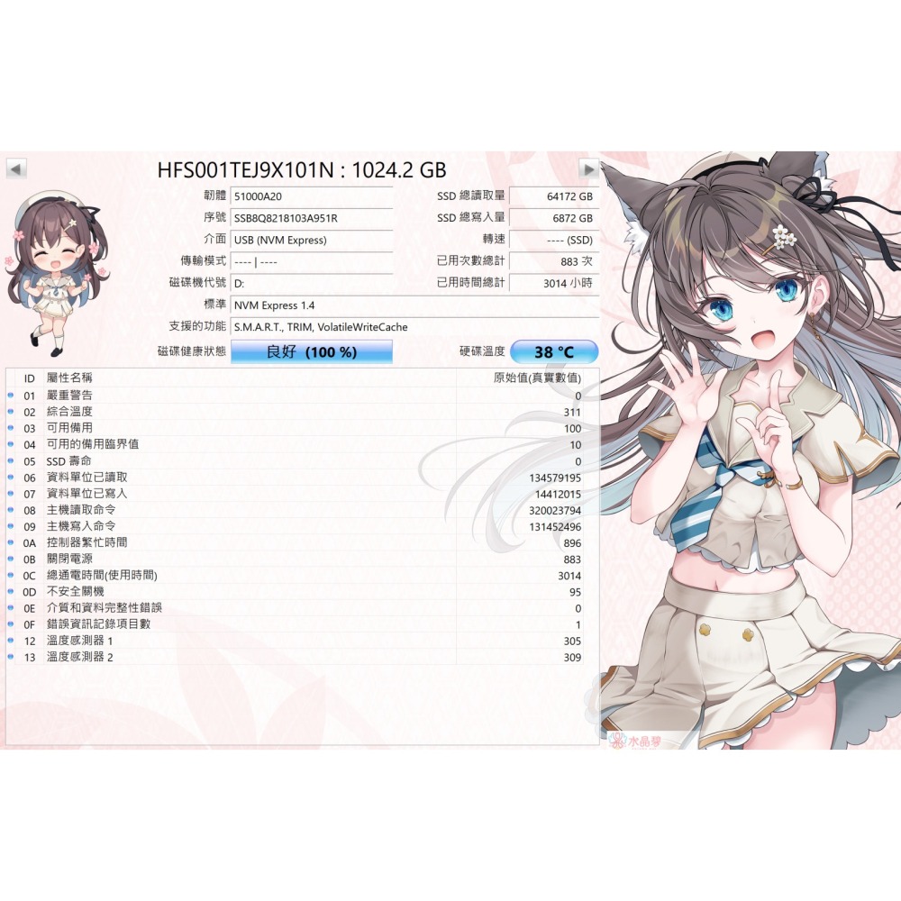 SK Hynix PC801 1TB 健康度100% 短時數 拆機 NVMe SSD M.2 TLC PCIe 4.0-細節圖4