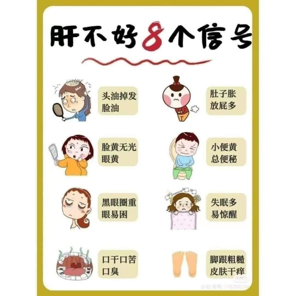 Atomy 洪慶天奶薊草-細節圖3