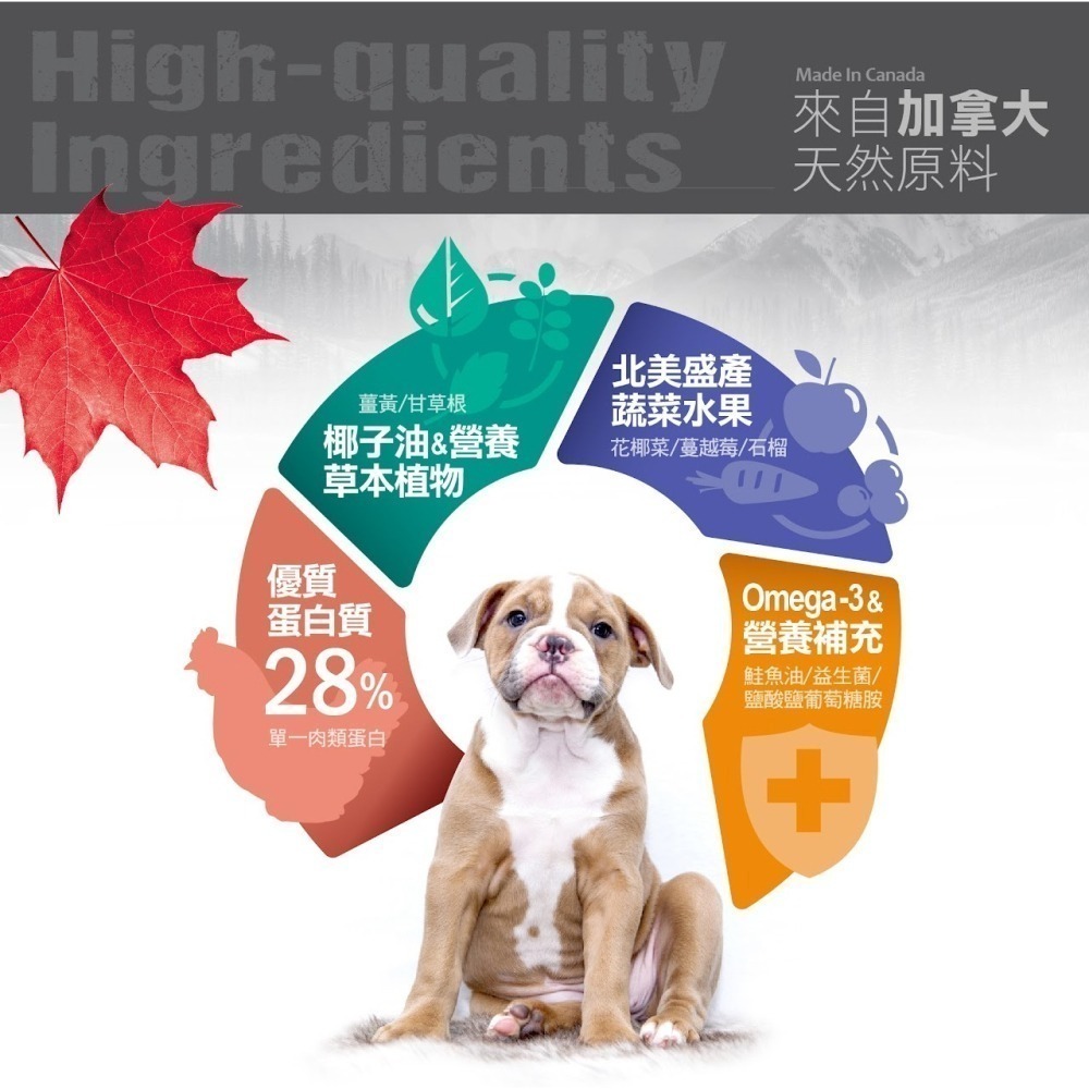#短效特價#加拿大【Nutrience 紐崔斯】天然糧雞肉系列-成貓/室內貓/熟齡體控2.27KG-細節圖4