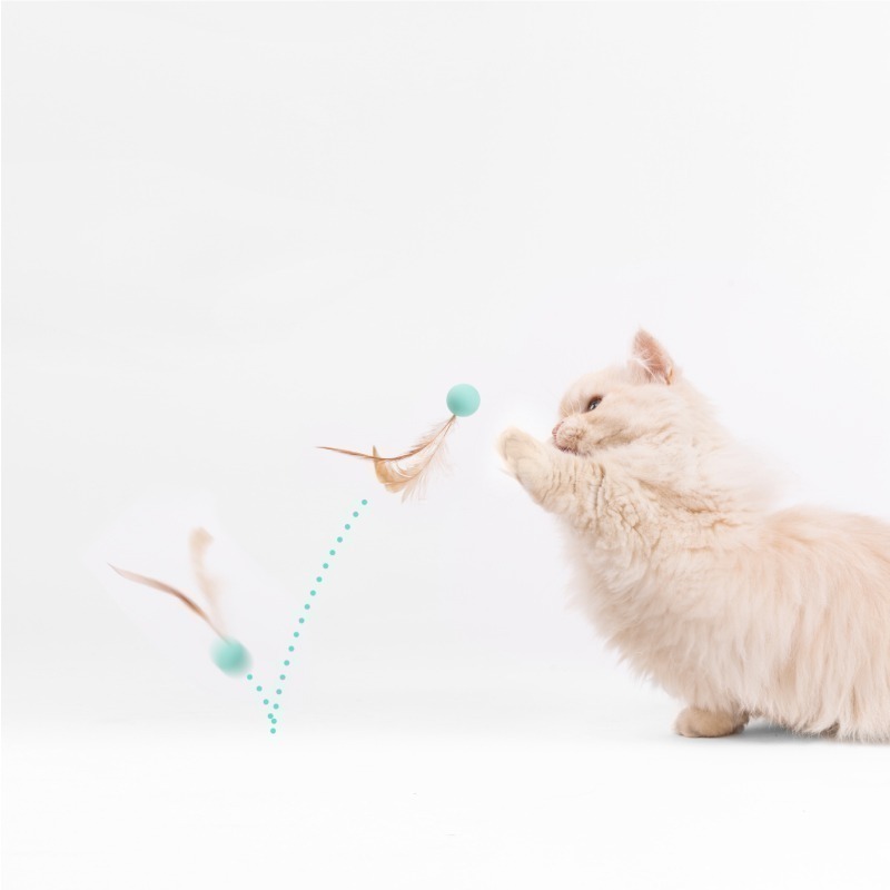 #出清特價#貓咪玩具-羽毛彈力球(一包3入)-細節圖4