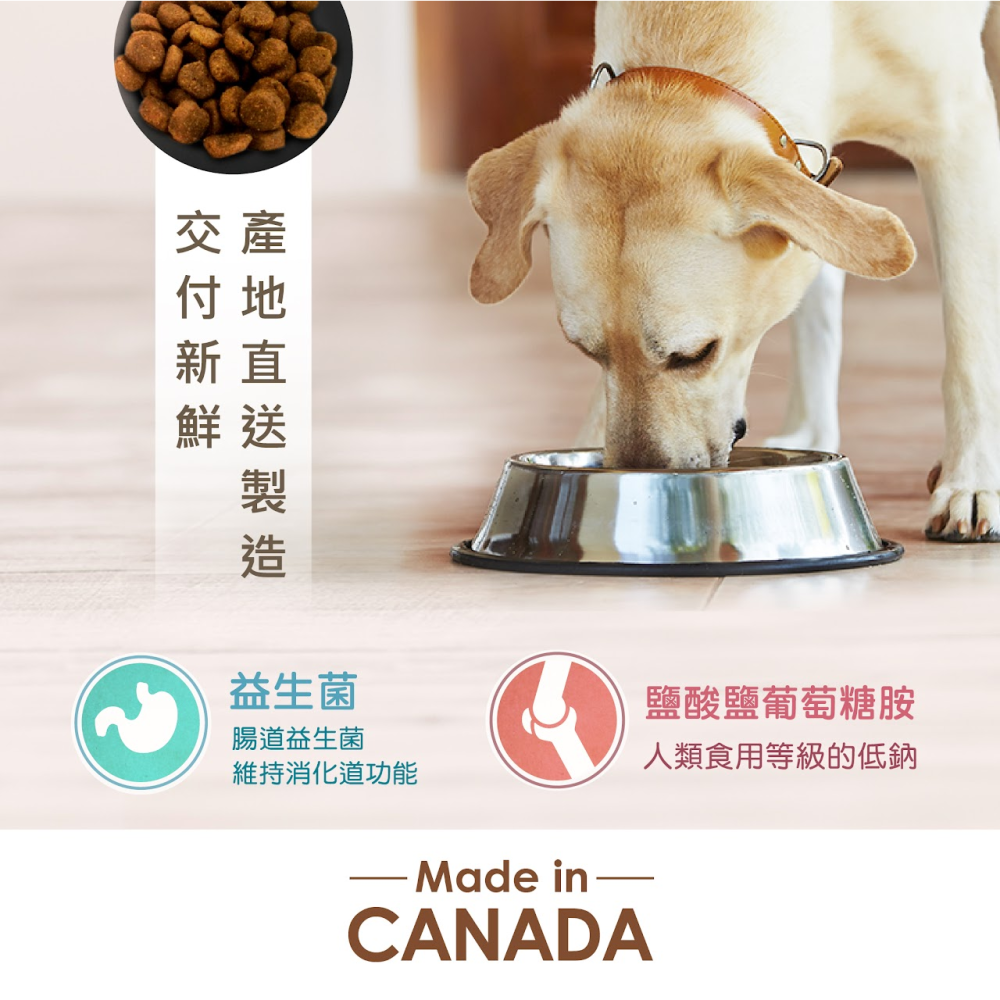 #短效特價#《紐崔斯Nutrience》無穀貓系列-2.5KG/5KG-細節圖5