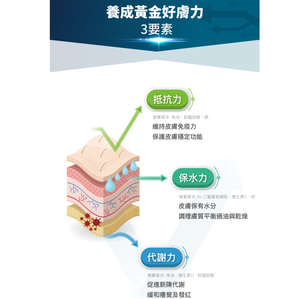 #特價#【木入森Moreson】貓咪膚立好 25包-細節圖7