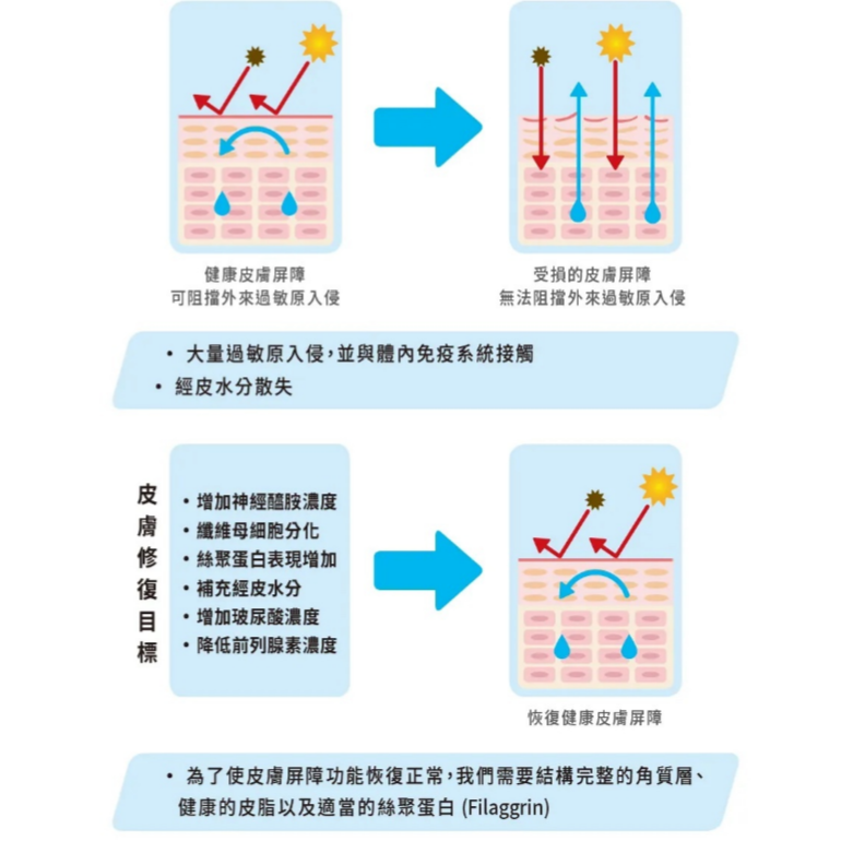 #送ciao肉泥膏80g*1#【可沛寵藥】膚克威口服液/魚油-120ml #貓狗專用 #異位性皮膚炎-細節圖5