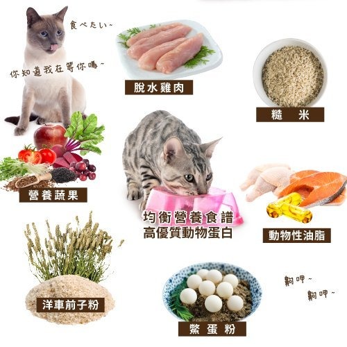 【UCAT 】全齡貓糧-腸胃呵護(雞肉+糙米) / 泌尿化毛(雞肉+蔓越莓)-7kg-細節圖2