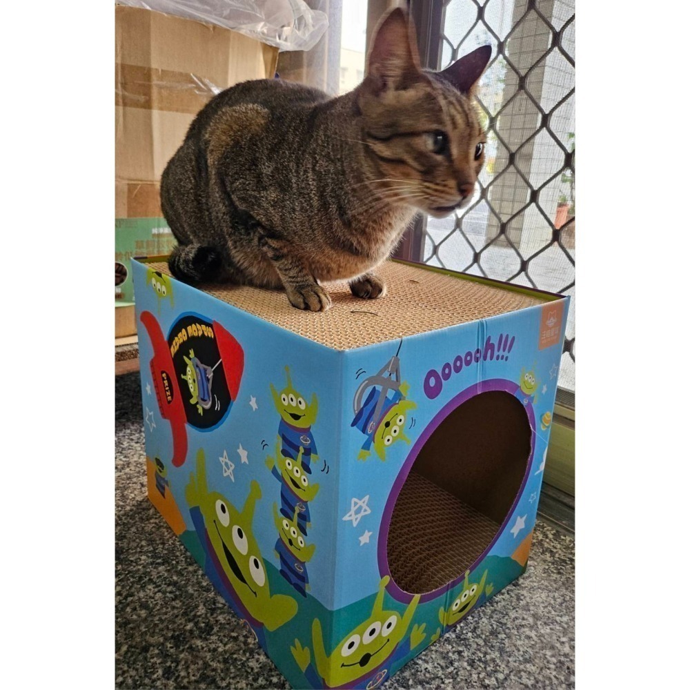 ▶限宅配◀【汪喵星球】玩具總動員系列 雙層貓抓屋-三款-細節圖8