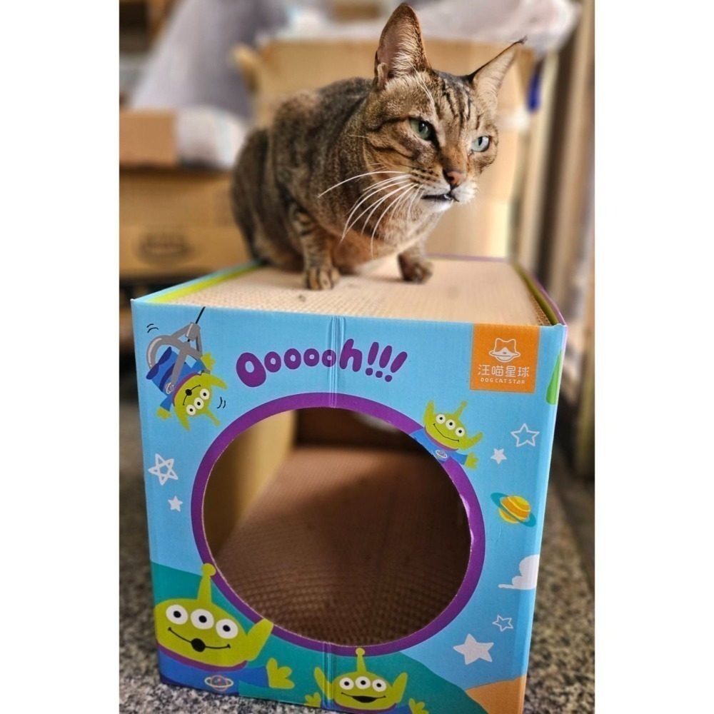 ▶限宅配◀【汪喵星球】玩具總動員系列 雙層貓抓屋-三款-細節圖9