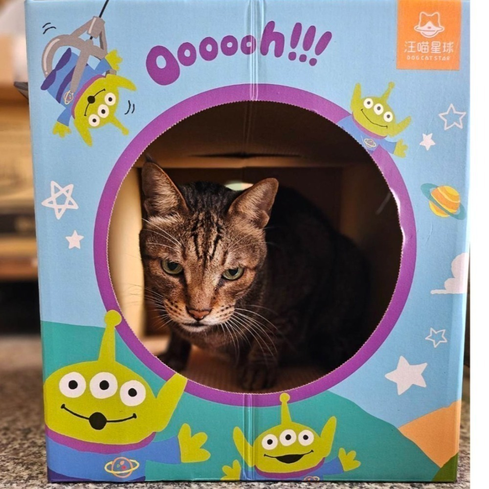 ▶限宅配◀【汪喵星球】玩具總動員系列 雙層貓抓屋-三款-細節圖10