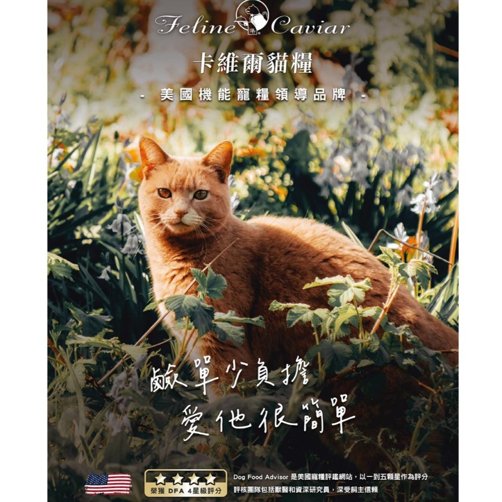 【Feline Caviar 卡維爾】高機能無榖貓糧-320G/2KG-細節圖2