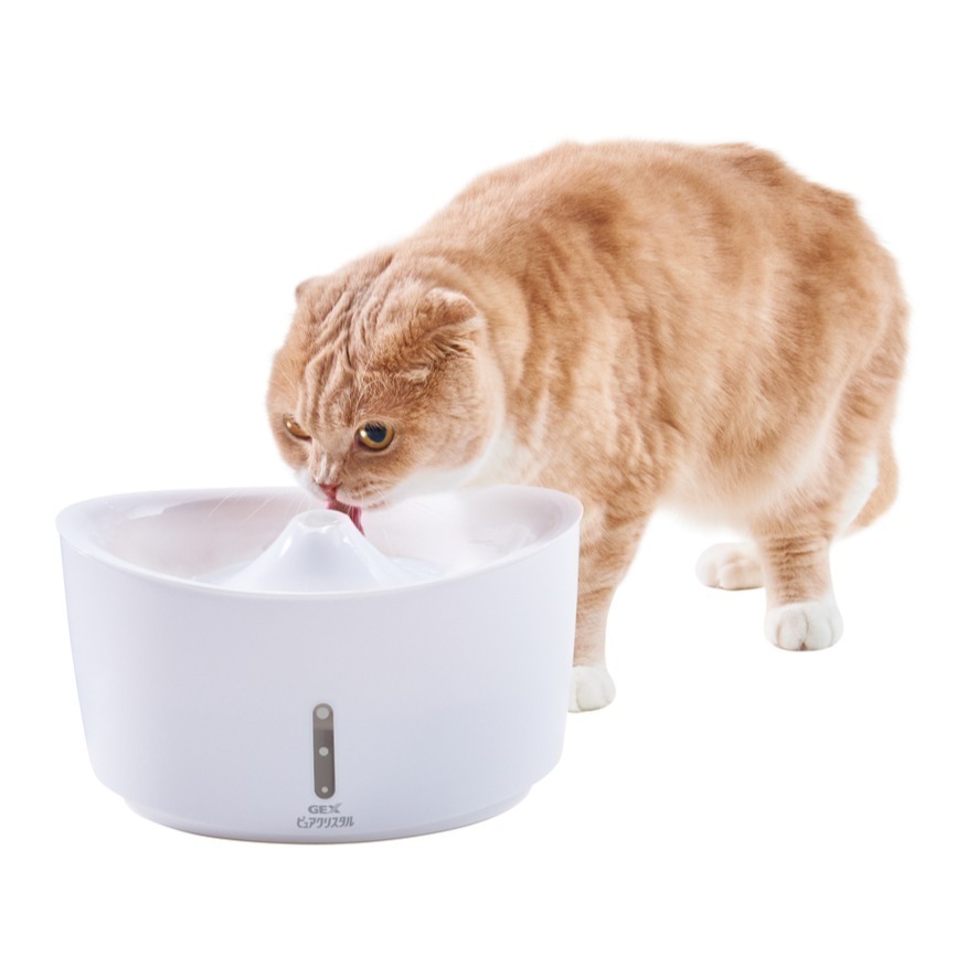 #現貨出清#《日本GEX》視窗型貓用飲水器-1.5L/2.5L-細節圖5