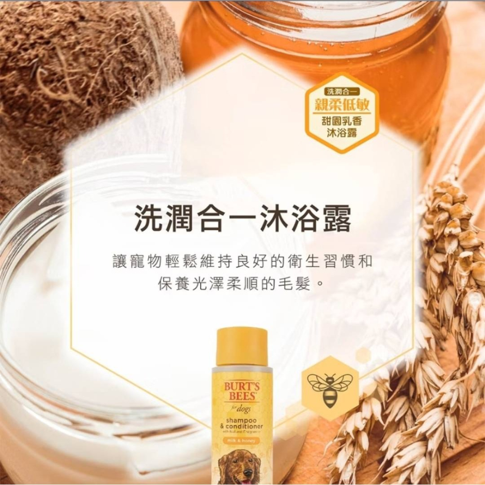 【Burt＇s Bees 小蜜蜂爺爺】 甜園乳香沐浴露- 寵物沐浴露/寵物洗毛精 354ml(12oz)-細節圖2