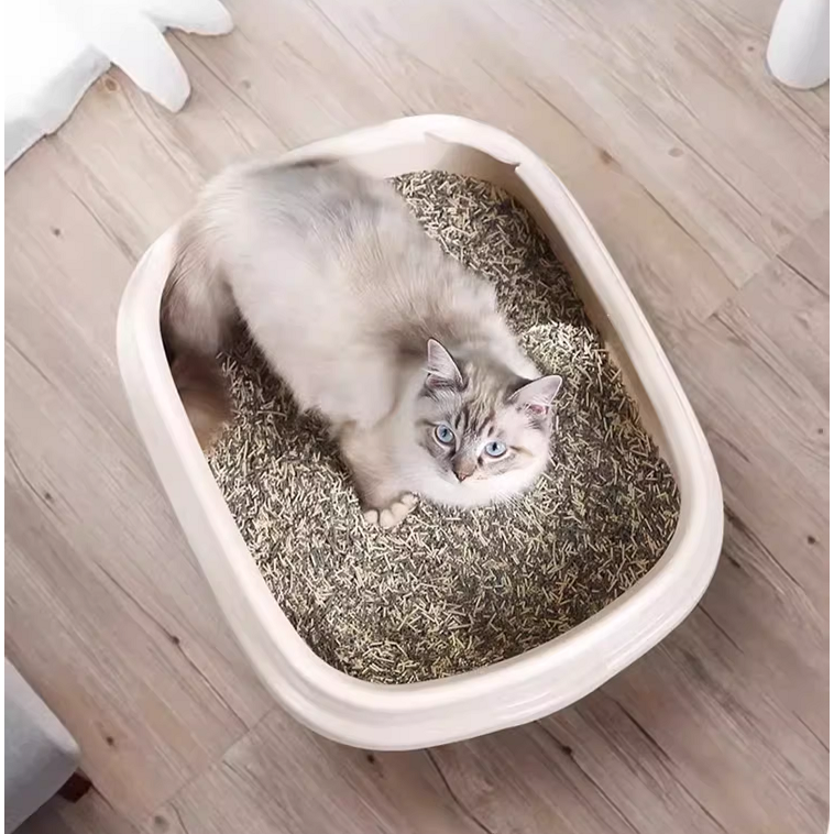 ▶限宅配◀【日本IRIS】單層開放式貓砂盆NE-490小款/NE-550大款-細節圖2