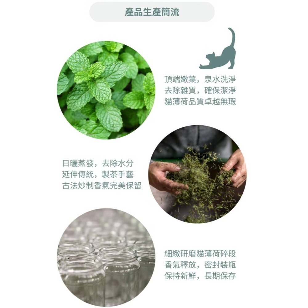 【PAWFY 普奧非】CAT SINITY 貓薄荷/研磨系列-細節圖5