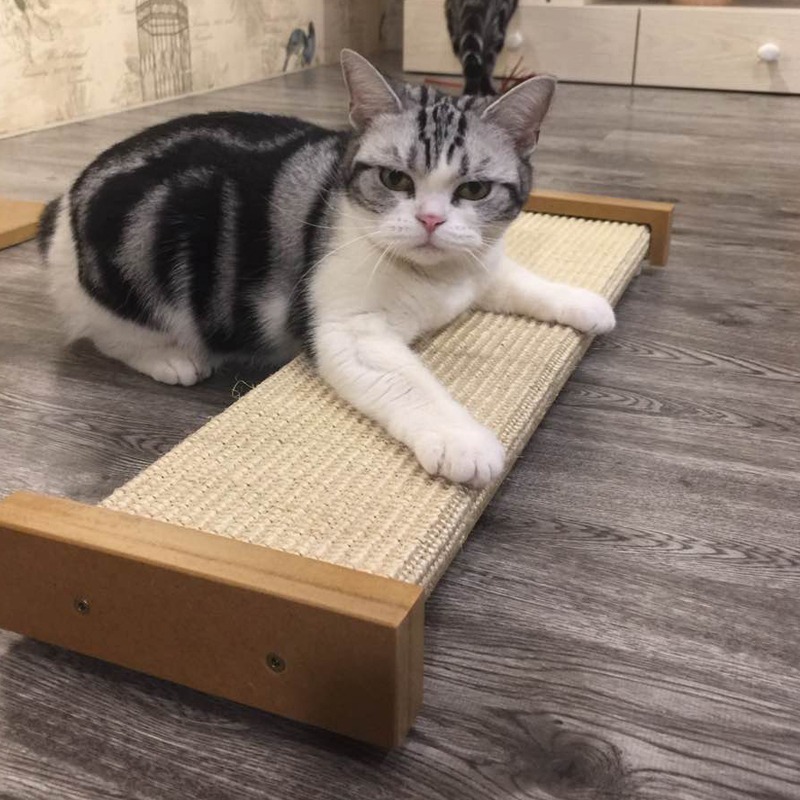 #宅配免運#【美國SmartCat】經典貓抓板-貴妃爪爪樂-細節圖5