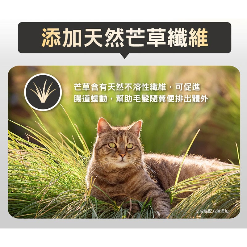 #現貨特價#【Nulo諾樂】金牌無穀成貓/全齡貓/室內貓/單一肉源300G-細節圖7