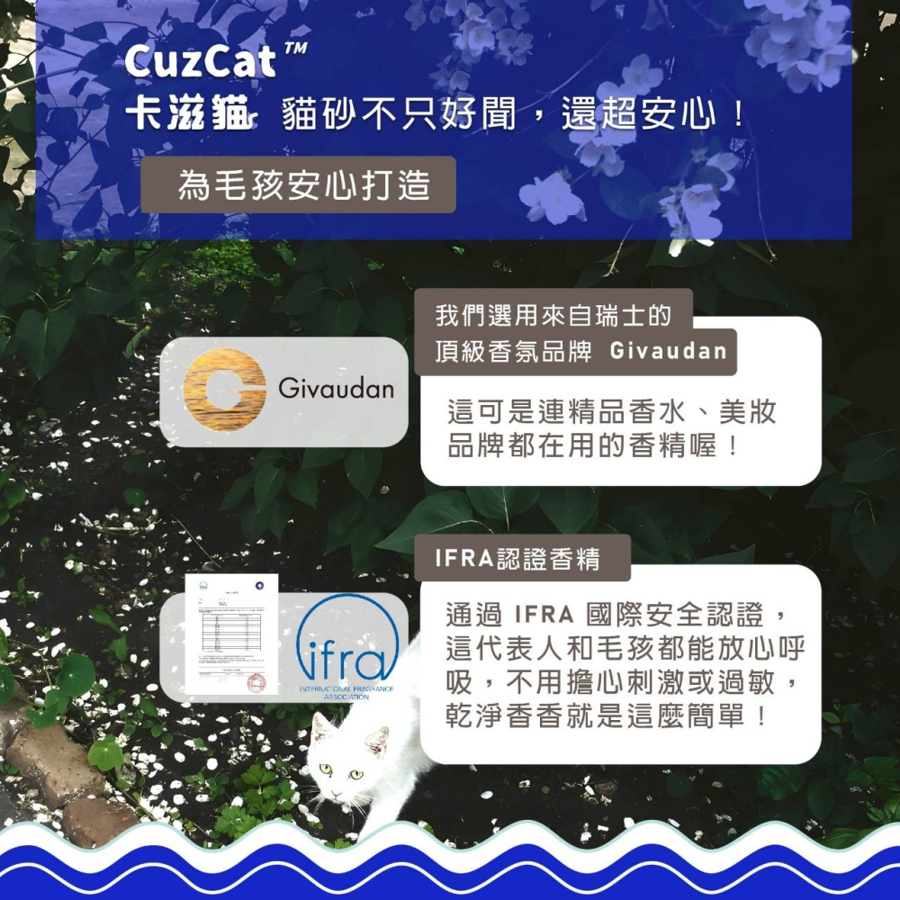 ▶宅配免運◀【CuzCat卡滋貓】天然豆腐貓砂(沸石除臭抗敏)/混合貓砂(三合一急速凝結)-2.4kg-細節圖8