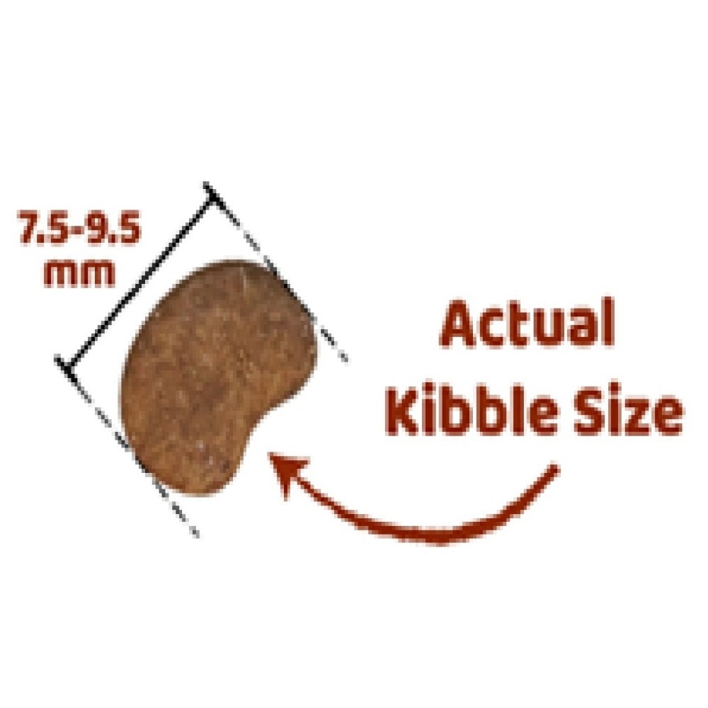 【KANDY 康蒂】貓糧-1.5KG #水解蛋白-細節圖2