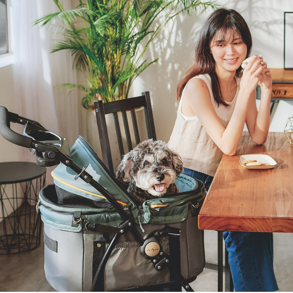 #出清特價#【沛德奧Petstro】415P方舟系列寵物推車 (耐重20kg)-細節圖8