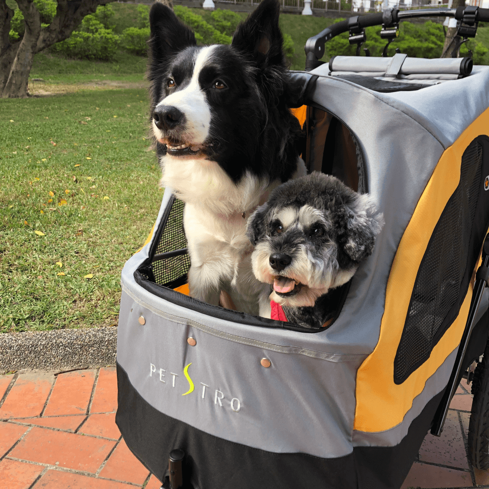 #出清特價#【沛德奧Petstro】701GC天際系列三代-寵物推車(耐重45kg)-細節圖4