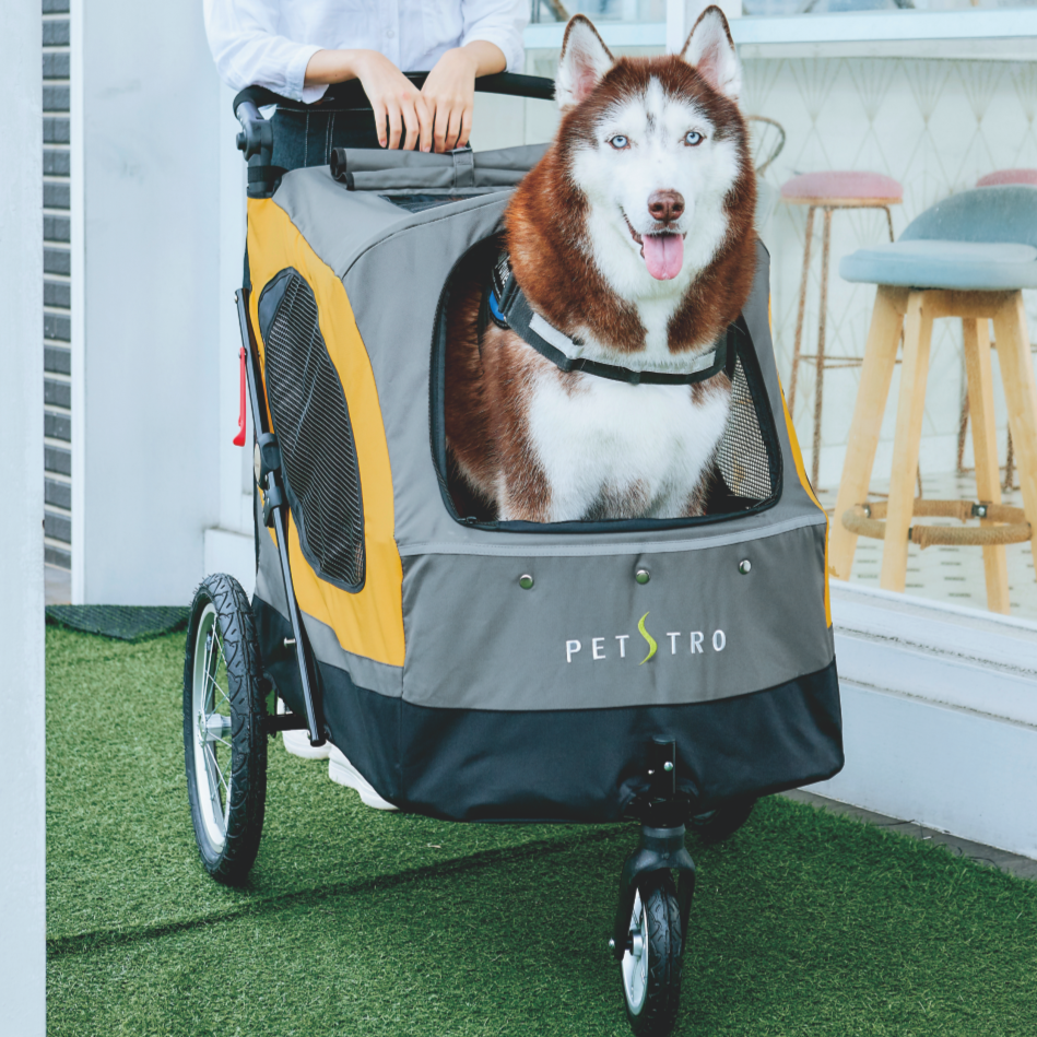 #出清特價#【沛德奧Petstro】701GC天際系列三代-寵物推車(耐重45kg)-細節圖5