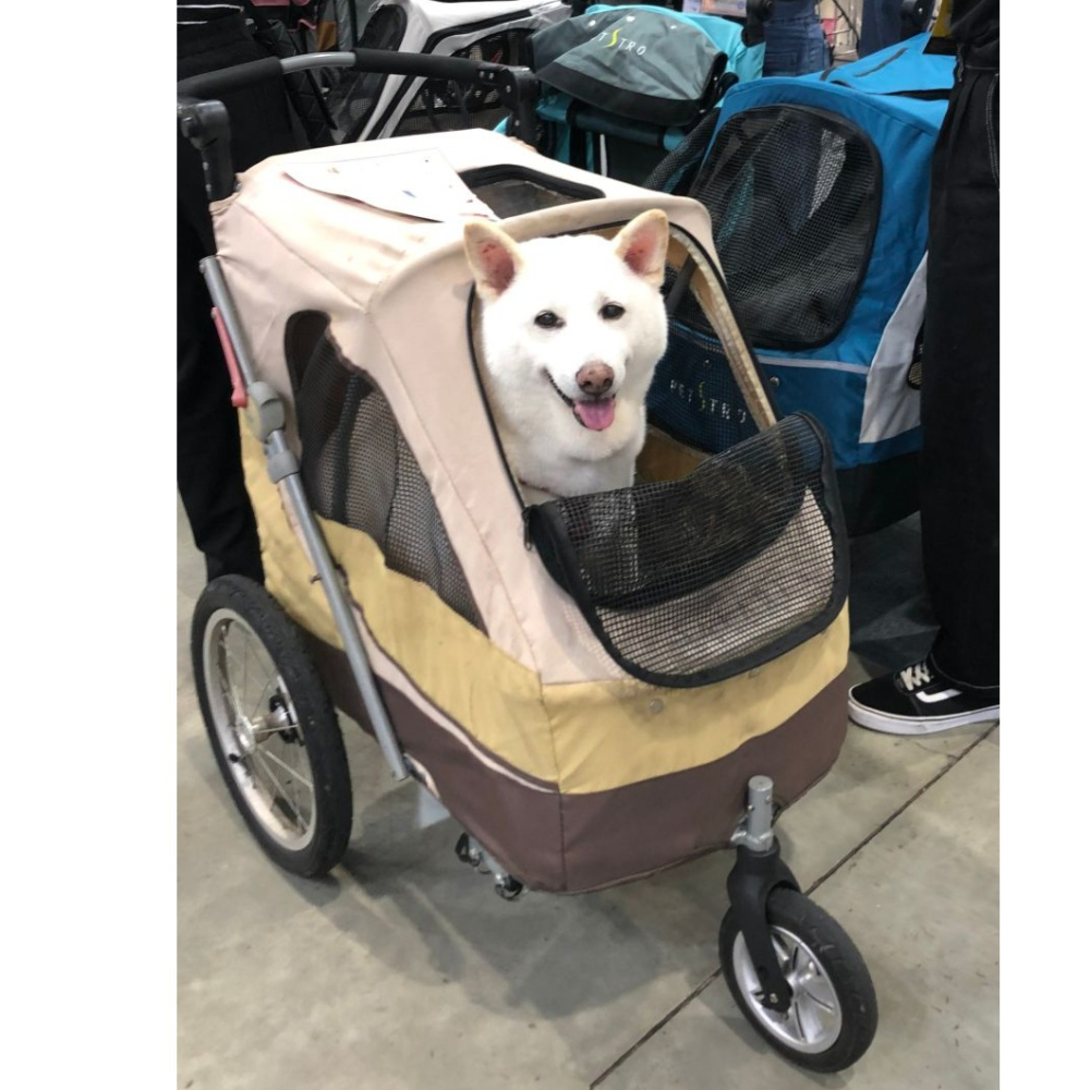 #出清特價#【沛德奧Petstro】701GC天際系列三代-寵物推車(耐重45kg)-細節圖7