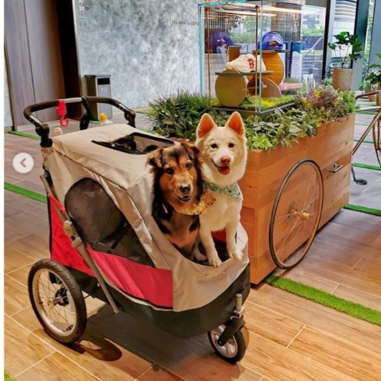 #出清特價#【沛德奧Petstro】701GC天際系列三代-寵物推車(耐重45kg)-細節圖8