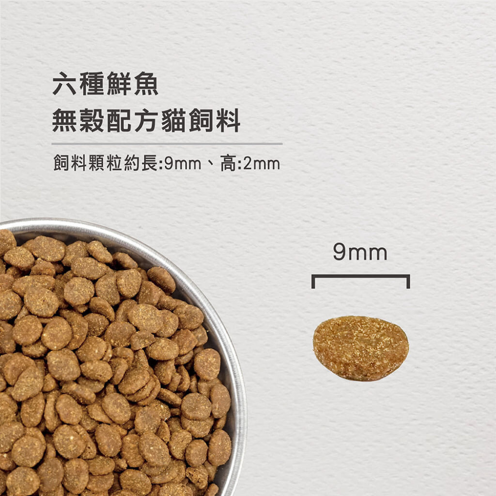 #短效特價#加拿大ORIJEN歐睿健-無穀貓1.8KG-細節圖9